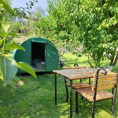 Nataly Campsite Yeghegnadzor ภายนอก รูปภาพ