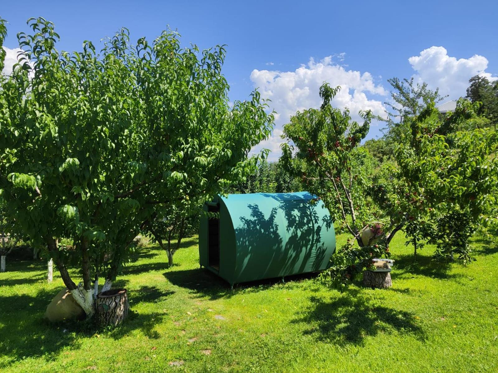Nataly Campsite Yeghegnadzor ภายนอก รูปภาพ