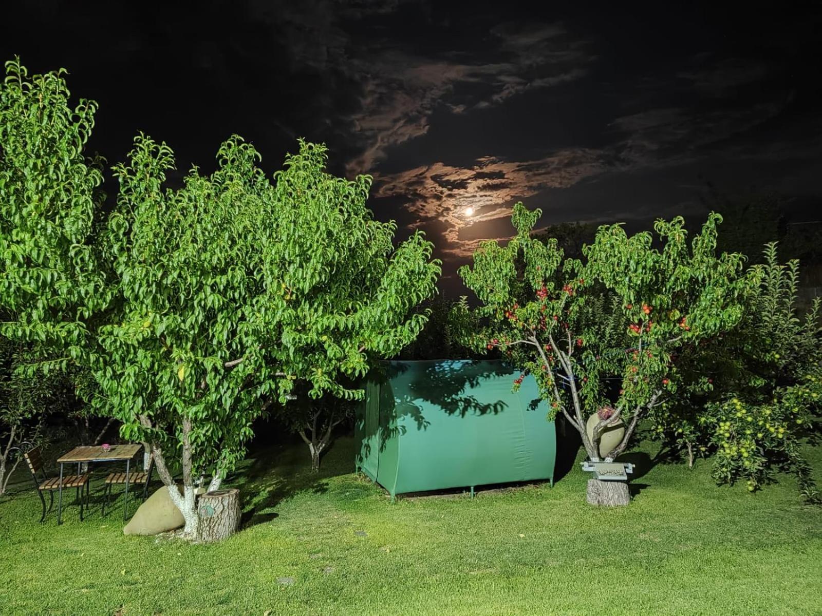Nataly Campsite Yeghegnadzor ภายนอก รูปภาพ